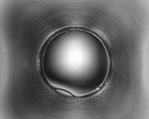 X0000096630926200802051104