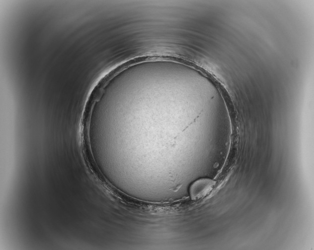 X0000096630928200802051104