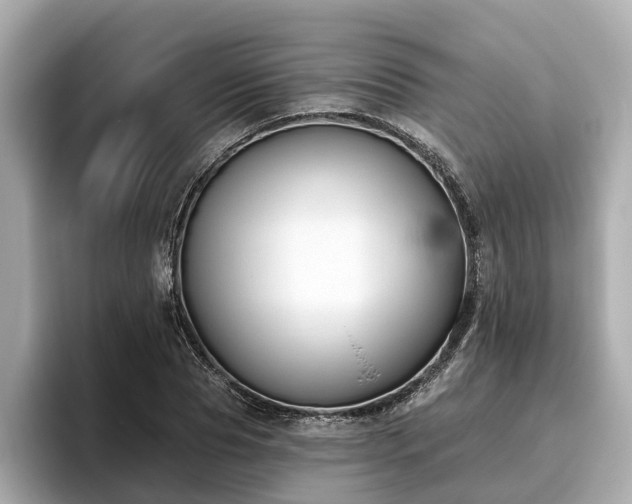 X0000096630929200802051104
