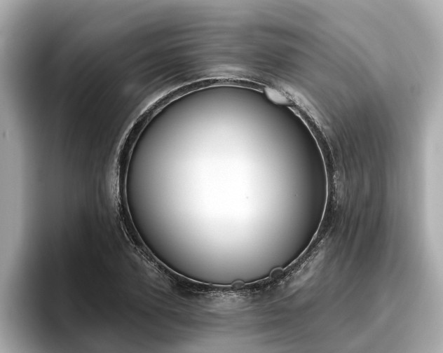 X0000096630931200802051104