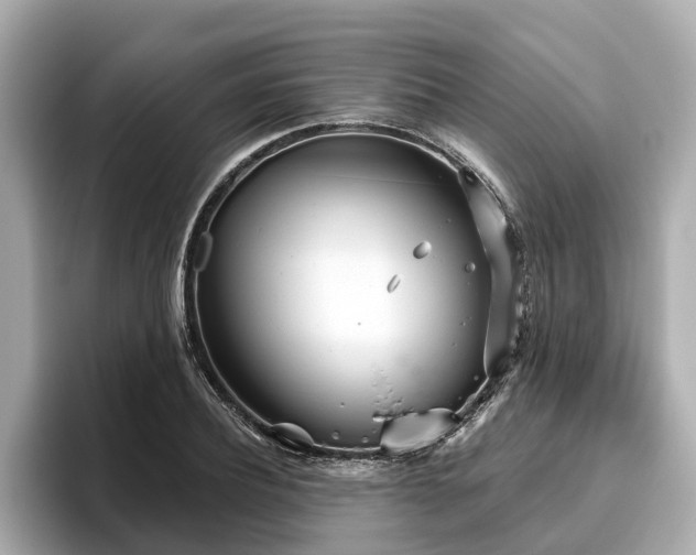 X0000096630932200802051104