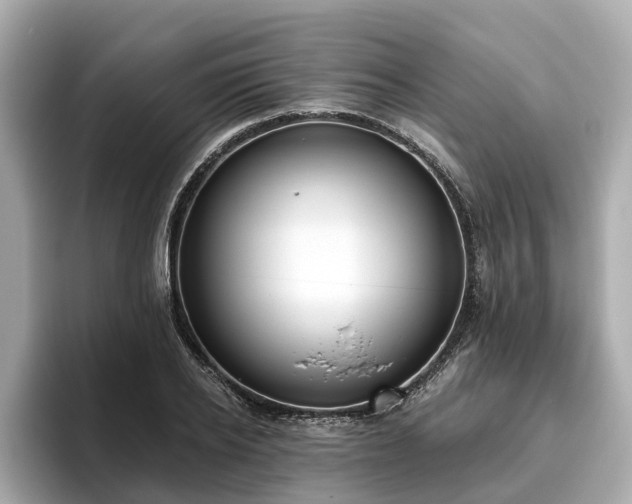 X0000096630934200802051104