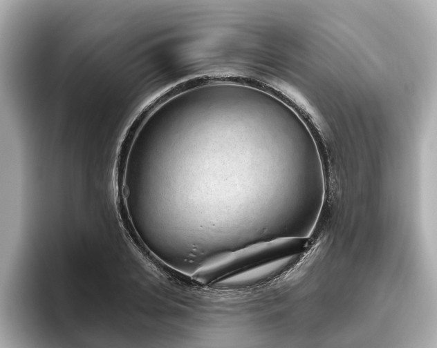 X0000096630935200802051104