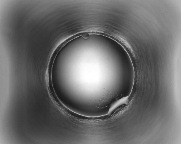 X0000096630936200802051104