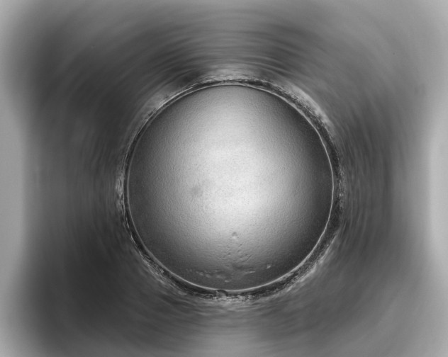 X0000096630937200802051104