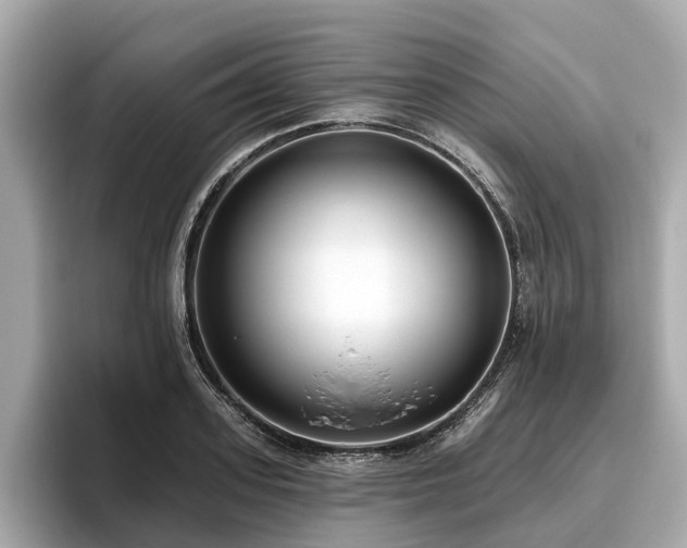 X0000096630939200802051104