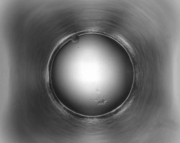 X0000096630940200802051104