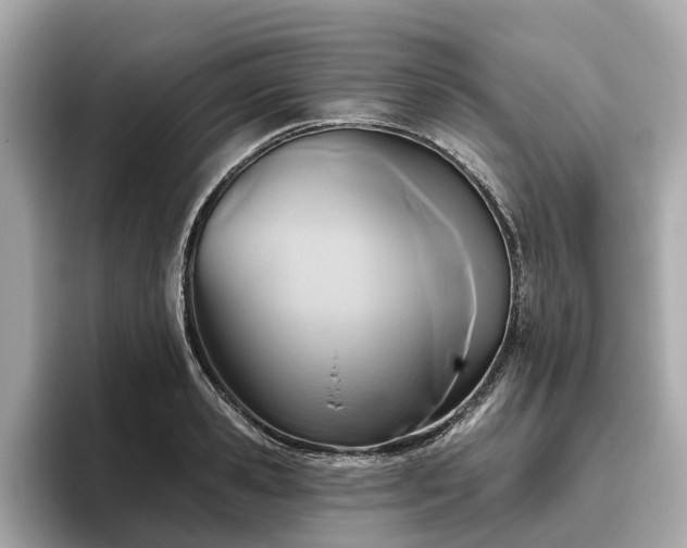 X0000096630941200802051104