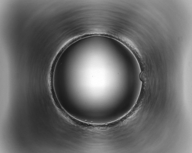 X0000096630942200802051104