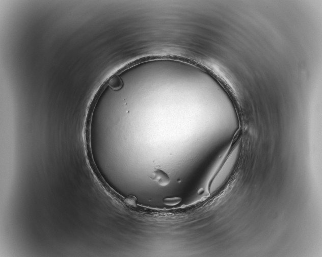 X0000096630943200802051104
