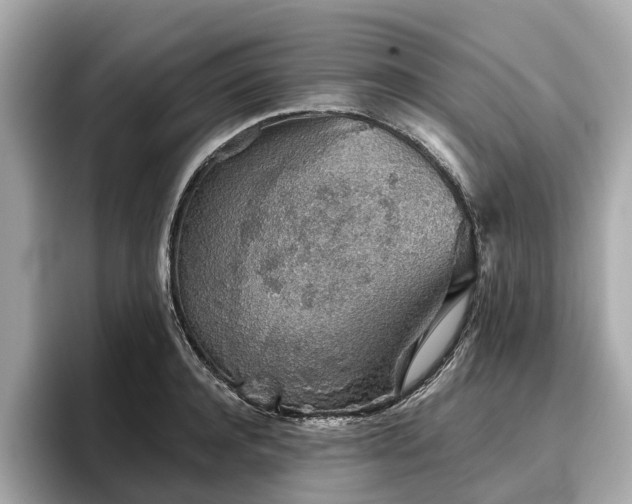 X0000096630944200802051104