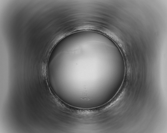X0000096630945200802051104