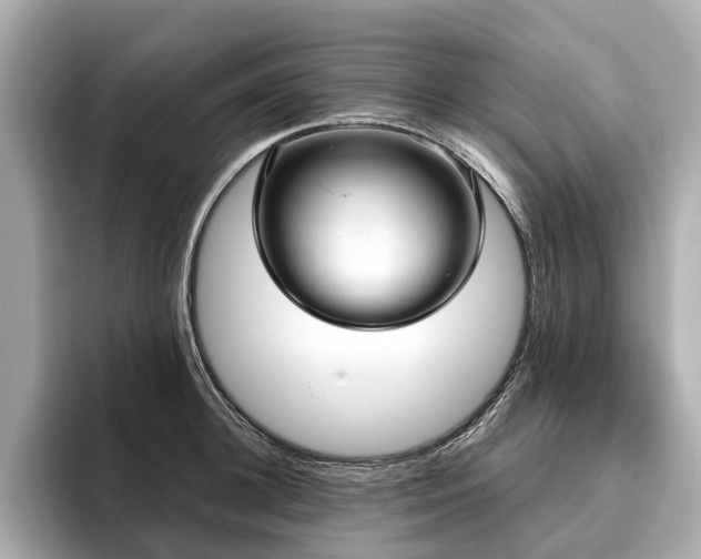 X0000096630948200802051104