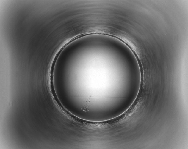 X0000096630949200802051104