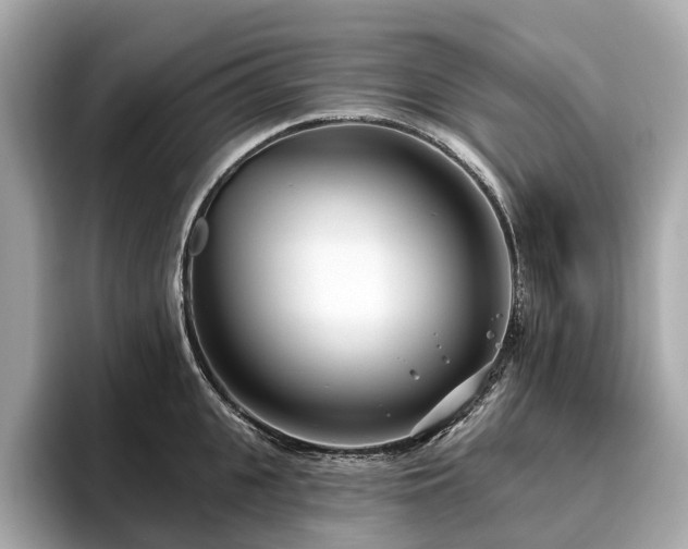 X0000096630951200802051104