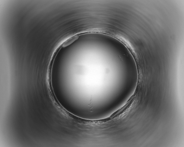 X0000096630952200802051104
