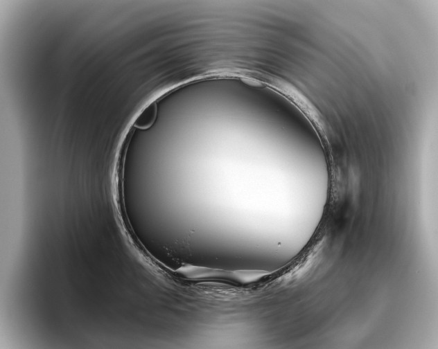 X0000096630955200802051104