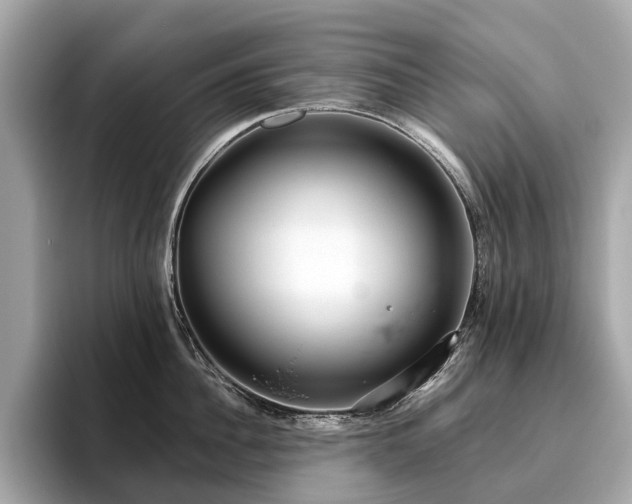 X0000096630956200802051104