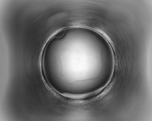 X0000096630957200802051104