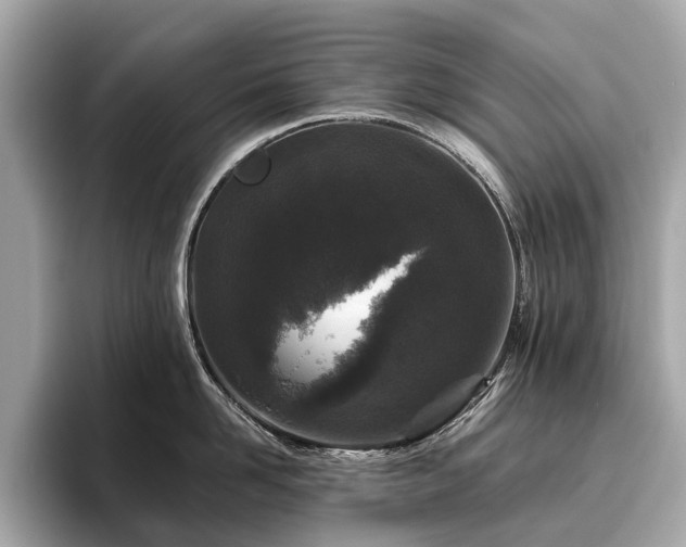 X0000096630958200802051104