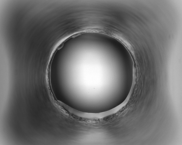 X0000096630960200802051104