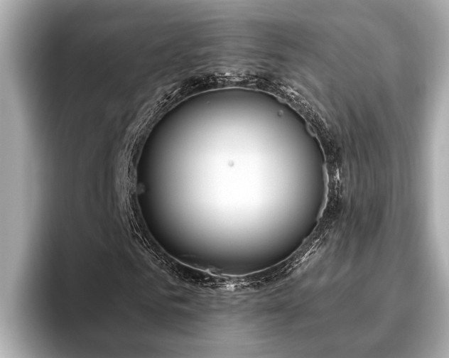 X0000096630961200802051103