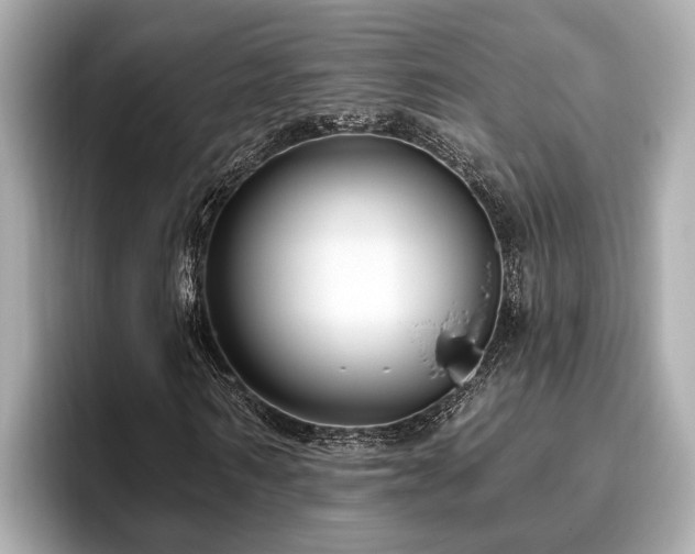 X0000096630962200802051103