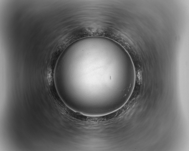 X0000096630963200802051103