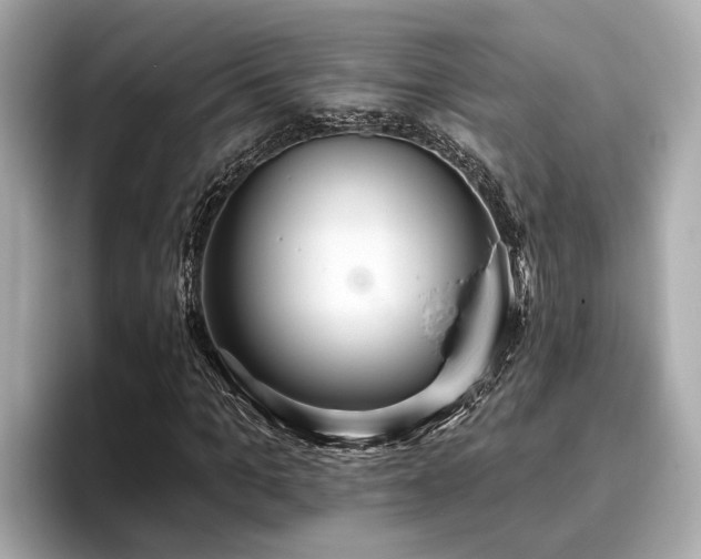 X0000096630965200802051103