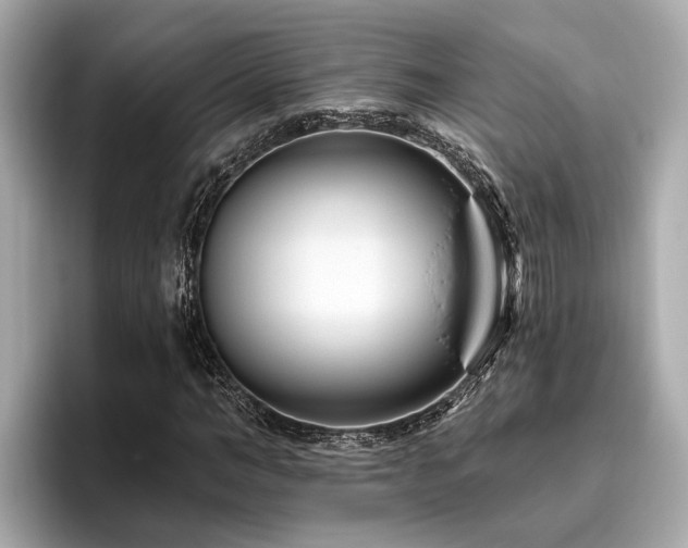 X0000096630966200802051103