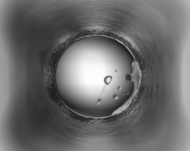 X0000096630967200802051103