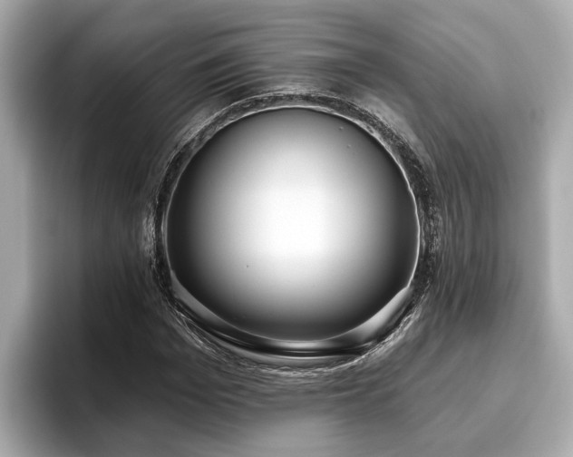 X0000096630969200802051103