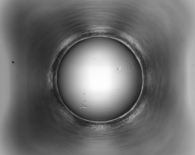 X0000096630970200802051103