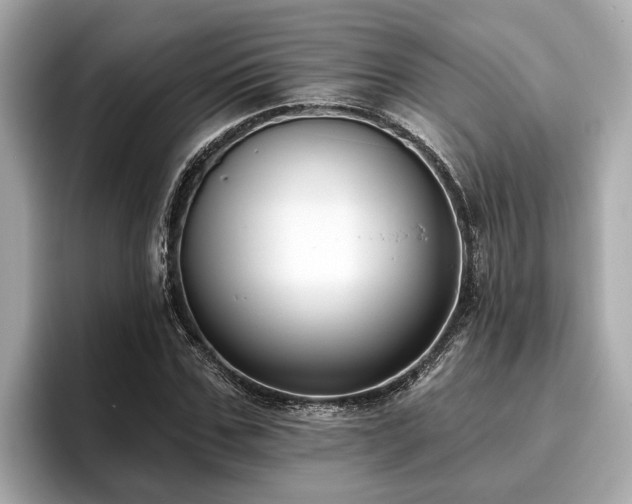 X0000096630971200802051103
