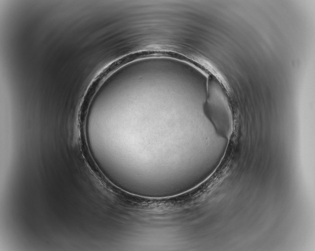 X0000096630972200802051103