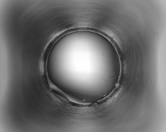 X0000096630973200802051103