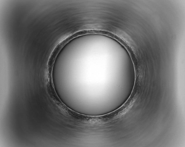X0000096630974200802051103