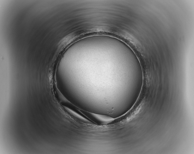 X0000096630977200802051103