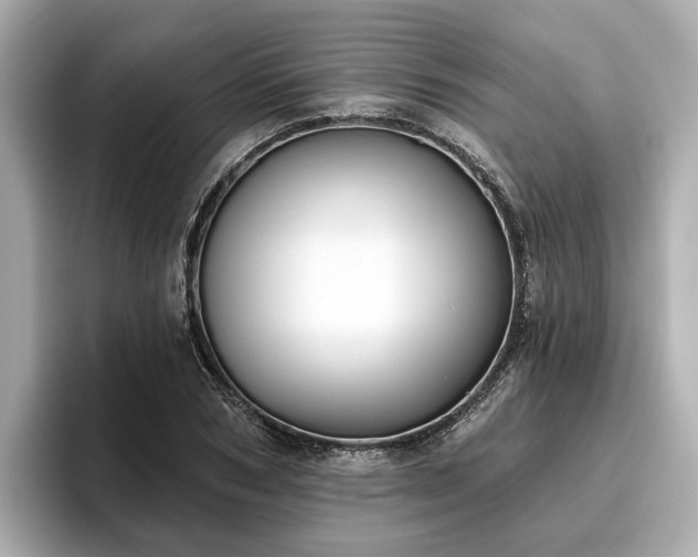 X0000096630978200802051103