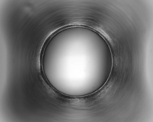X0000096630980200802051103