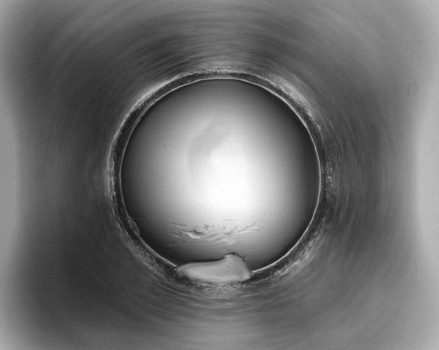 X0000096630981200802051103