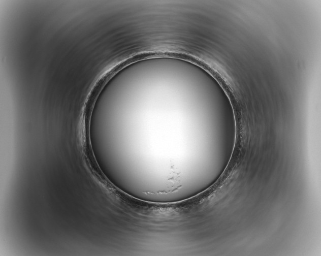 X0000096630982200802051103