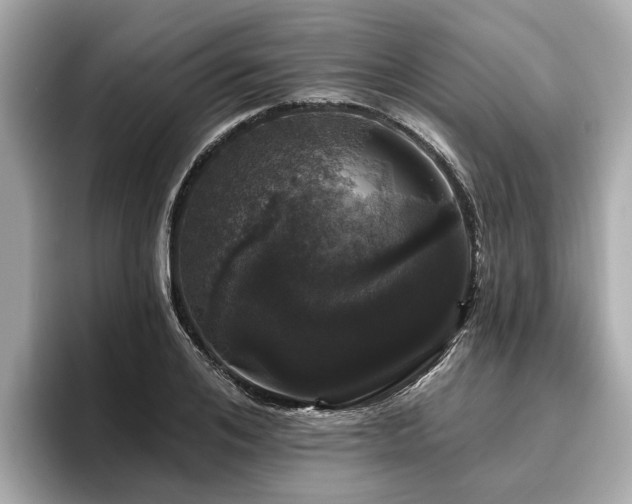 X0000096630984200802051103