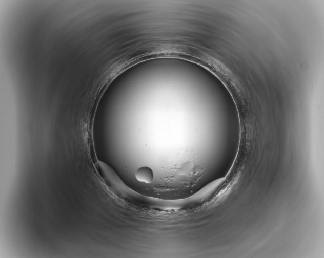 X0000096630985200802051103