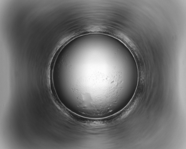 X0000096630986200802051103
