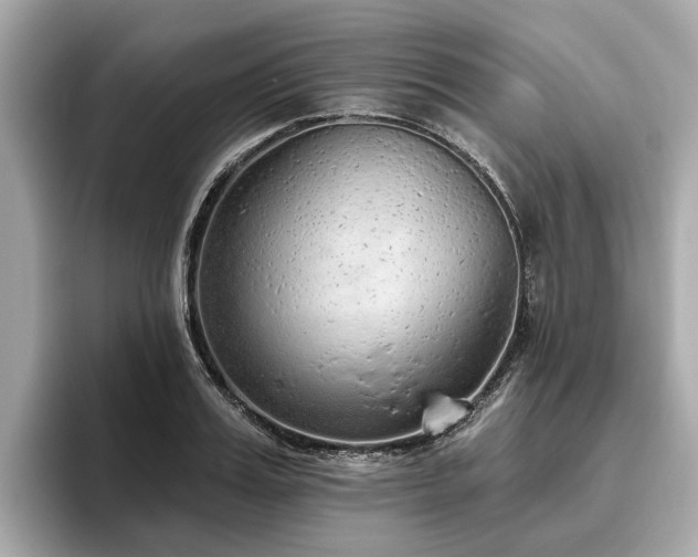 X0000096630987200802051103