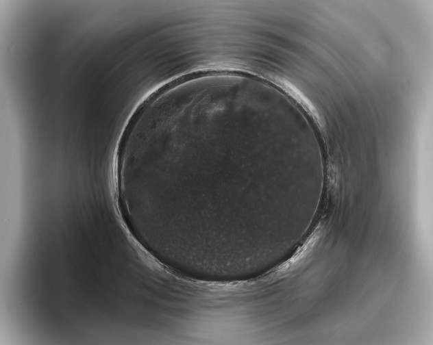 X0000096630988200802051103