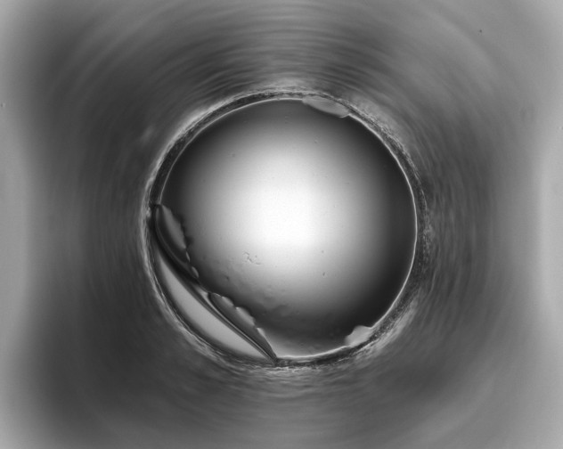 X0000096630989200802051103