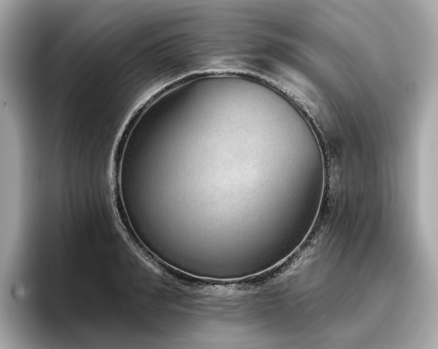 X0000096630990200802051103