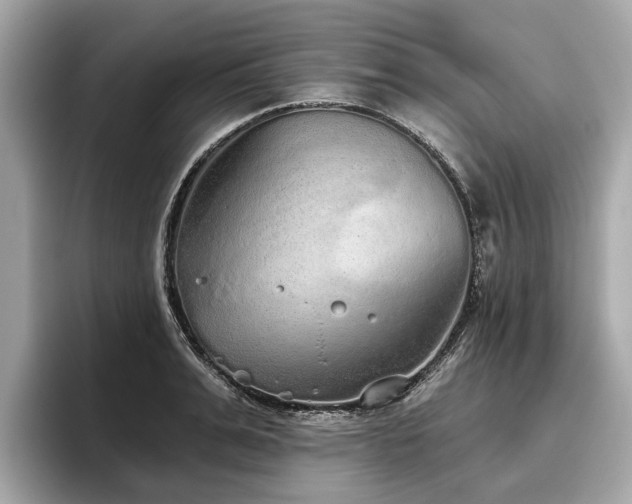 X0000096630991200802051103